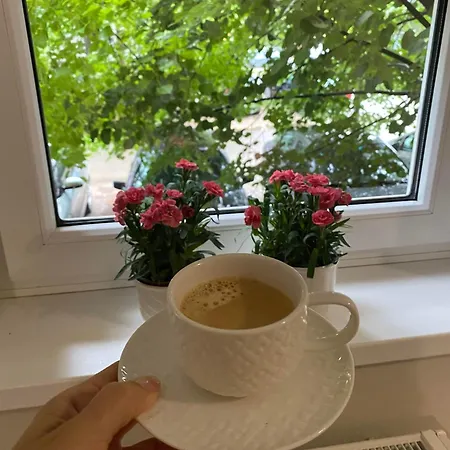 Апартаменты New Cosy Grbavica